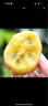 淳果一木 黄心猕猴桃 黄金奇异果大果金果猕猴桃 新鲜水果 生鲜 水果 12个 大果 单果80-100克 实拍图