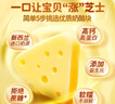 不二宝贝宝宝零食1岁以上儿童零食1-2-3岁高钙奶酪芝士三角块无蔗糖添加 【高钙 DHA】三角芝士奶酪块+牛初乳奶棒 实拍图