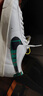 耐克NIKE男板鞋缓震透气BLAZER LOW运动鞋DV0801-100白40.5 实拍图