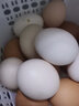芮瑞 农家散养新鲜现捡鸡蛋笨鸡蛋谷物柴鸡蛋初生蛋 单枚40±5g 8枚 实拍图