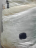 南极人（Nanjiren）冬季毛毯被子加厚毯子双层拉舍尔单人午睡沙发盖毯婚庆保暖学生 奶牛 200cmX230cm约7斤 实拍图