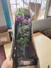 步恋【带花苞发货】重瓣三角梅大棵庭院阳台室内植物花卉盆栽树苗爬藤 云南紫【带花发货】 福建基地【含育苗盆土】 实拍图