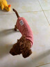 阿莫尔小狗狗衣服秋冬款泰迪比熊博美小型犬幼犬猫咪衣服宠物针织毛衣 粉色 XL 具体参考背长胸围 实拍图