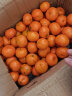 采蘩广西砂糖桔 新鲜水果沙塘桔礼盒 当季小橘子纯甜孕妇水果 9斤（精选好果） 晒单实拍图