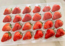 【产地直采】丹东红颜草莓大果500g 单果18g+ 实拍图