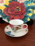 德国唯宝（Villeroy&Boch）亚马逊系列咖啡杯碟套装咖啡具下午茶奢华茶具2头（一杯一碟） 晒单实拍图