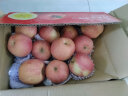 京鲜生 新疆阿克苏冰糖心苹果9斤 单果200-260g 水果 包装随机 晒单实拍图