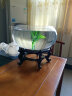 宠宝它创意桌面鱼缸生态圆形玻璃金鱼缸乌龟缸迷你小型造景家用水族箱 30CM+底座+彩石+仿水草 实拍图