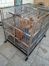 贝尼宠【不锈钢 加粗加厚 激光满焊】狗笼不锈钢结实金毛布拉多萨摩杜宾 124x90x108折叠加粗(有喂食小门) 实拍图