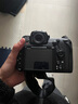 尼康/Nikon D7000 D7100 D7200 D500 D610 半画幅中端二手单反数码相机 D500[单机] 99成新 实拍图