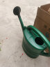 一洲洒水壶 大容量花卉植物浇水壶 家用浇花种菜长嘴淋水壶8L 深绿色  实拍图