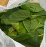 沃绣 新鲜桑叶 现摘大小蚕特嫩桑叶养蚕 蚕卵蚕宝宝食物饲料 桑苗盆栽 新鲜桑叶2斤/送100克 实拍图