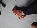 迈乐（Merrell）男女款户外越野徒步鞋MOAB GTX防水透气防滑抓地耐磨登山鞋 J036755红棕-3 GTX男款 41 实拍图