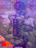 森森（SUNSUN）龙鱼缸加热棒自动恒温变频省电加温棒水族箱加温器 【热循环恒温】 800W 实时数显/变频省电 实拍图