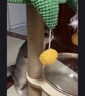 MamyPets猫爬架猫窝猫抓板一体剑麻猫抓柱小户型不占地猫架子猫窝猫咪玩具 【椰子树猫爬架】太空舱款 实拍图