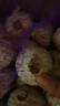 玉燕妃云南正宗新鲜紫皮独头大蒜独蒜干蒜 农家露天自种助农生鲜蔬菜 4cm以上 紫皮独蒜干蒜 6斤 实拍图