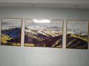 轩棠树 客厅装饰画新中式沙发背景墙壁画现代简约三联画轻奢餐厅墙画靠山招财风水书房晶瓷挂画 意向山水B款 大组合（左右60*80中80*110）晶瓷画 实拍图
