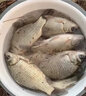松崎浅川传统钓鱼竿短节鱼竿超硬超轻碳素短节溪流竿短节手竿碳素钓竿 6.3m 28调 黄金版6.3+礼包 实拍图