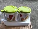 茶花（CHAHUA） 玻璃调料罐调味盒油壶套装厨房带架子糖盐味精罐 两件套【绿色】 实拍图