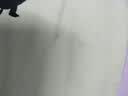 南极人（Nanjiren） 被子夏季冰丝空调被夏凉被双人薄被子1.5x2米夏天被子单人凉被 双面蓝 【清凉舒适 柔软亲肤】 双人夏被-200*230cm 实拍图
