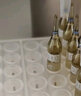 PRODIBIO硝化细菌净化水剂鱼缸用水稳科迪菌粮水族箱净水剂一滴清除氯剂 科迪硝化细菌(8支散装)【至2030年】 实拍图