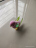 灵动创想（LDCX）我的小宠发光唱歌录音小鸟电子宠物玩具惊喜孵化小鸡小海龟 发光唱歌小鸟-粉色28540 实拍图