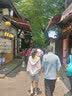 Halo Queen短裤女薄款高腰休闲裤子宽松显瘦冰丝阔腿五分裤H121K1003 实拍图