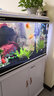 闽江（minjiang）鱼缸水族箱家用屏风生态造景中大型金龙鱼缸客厅免换水鱼缸 纯洁白色（养鱼礼包+升级过滤） 长80.6*宽31.2*高124(缸体+底柜) 实拍图
