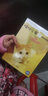 生活智库丛书·猫咪心事2：猫咪喂养指南 实拍图
