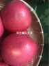 果咘七苒（QiSurely）国家地理标志2023新果栖霞苹果烟台红富士新鲜时令水果顺丰德邦 红90净6斤9枚礼盒顺丰 实拍图
