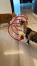 ZEZE猫玩具逗猫棒耐咬猫咪玩具自嗨解闷猫猫用品大全耐磨毛绒玩具 实拍图