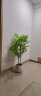 雅致仿真植物南天竹落地盆栽室内大型绿植摆件 1.3米2头南天竹圆底盆 晒单实拍图