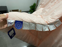 安睡宝（SOMERELLE）100S长绒棉四件套床上用品套件纯棉全棉床单被套床品套件礼盒装 100支 蒂芙尼蓝 床单款 （被套220*240cm） 特大 实拍图