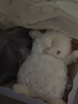 海湾兔Bunnies 小羊公仔安抚抱睡布娃娃动物毛绒玩偶儿童女生日礼物 【824233】相机套装（含羊） 海湾兔 实拍图