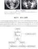 肌骨超声：物理与康复医学临床实践指南 实拍图