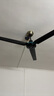 志高（CHIGO）吊扇电风扇大风力家用楼顶风扇客厅1.4米56吋工厂车间吊顶风扇遥控定时电风扇 56寸大吊扇（遥控五档） 实拍图