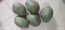 生活＆好管家凯特大芒果新鲜水果时令芒果应季整箱现摘生鲜芒果 净重9斤装 (450g+) 实拍图