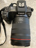 佳能（Canon）RF 24-105mm F4 L IS USM 标准变焦镜头 微单镜头（全画幅EOS R系统专用）适用于 R RP系列 实拍图