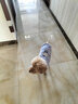 嬉皮狗（hipidog） 狗狗衣服秋冬季泰迪衣服小型犬保暖打底衫防掉毛比熊幼犬衣服 卡其色呆呆狗 M (建议体重6-8斤) 实拍图