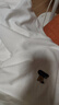 匹克（PEAK）短袖男夏季速干t恤男透气上衣健身服休闲运动服吸汗白色 2XL 实拍图