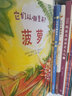 它们从哪里来（科普绘本趣说食物由来培养跨学科思维入选第七届丰子恺儿童推荐书精装4册） 实拍图