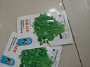 元井汇（YUANJINGHUI）蔬菜种子四季播盆栽阳台庭院香菜生菜菠菜小葱简单秋易种籽孑大全 四季香菜（约800粒） 实拍图