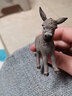 思乐（Schleich S）新年礼物仿真农场家禽动物模型羊驼猪兔羊驴猪火鸡男女孩儿童玩具 小驴13746 实拍图