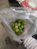 果益寿江苏阳光玫瑰葡萄【JD闪送】晴王葡萄青提子双11百亿补贴水果盒装 一级果2斤手提礼盒装单粒8-10g 实拍图