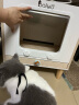 BAIWO 猫咪烘干机宠物烘干箱家用小型智能低噪洗澡神器吹毛机吹风机 BW03A(41L)-臭氧除菌款 实拍图