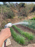 得力（deli）水泵浇菜神器浇水机电动抽水机自吸农用菜地浇水充电式洗车浇地 便携【DL5400双泵】裸机标配 实拍图