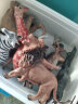贝恩施仿真动物模型儿童3-6岁动物园玩具男女孩-26件套（赠收纳盒） 晒单实拍图