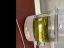 平利绞股蓝【正宗】平利绞股蓝龙须茶无糖养生茶饮绞股蓝茶叶 甄选五叶甘味平利绞股蓝龙须 250g*1袋 实拍图