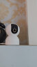 小米摄像头云台 3 500W高清像素监控器家用360度夜视全景手机远程监控摄像机婴儿看护器IOT联动 小米智能摄像机3 【64G内存卡套装】 晒单实拍图