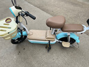 飞鸽电动车新款女生小型轻便新国标电动自行车成人代步通勤续航电单车两轮电瓶车 晴空蓝【全国联保/智能快充/终身保障】 【锂电】24A汽车级-续航约72公里+可提充电 实拍图
